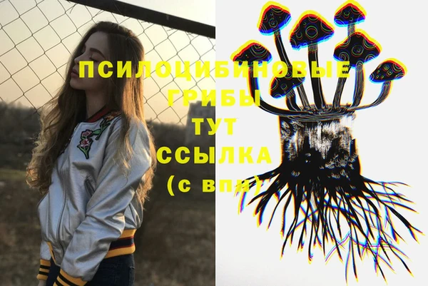 шишки Новодвинск