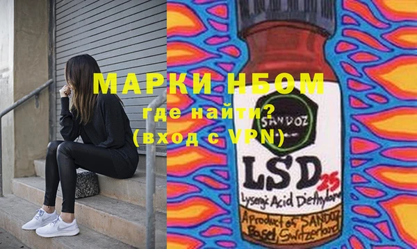 шишки Новодвинск