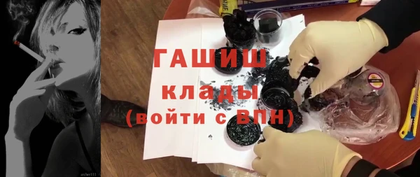 шишки Новодвинск