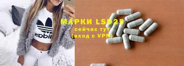 шишки Новодвинск