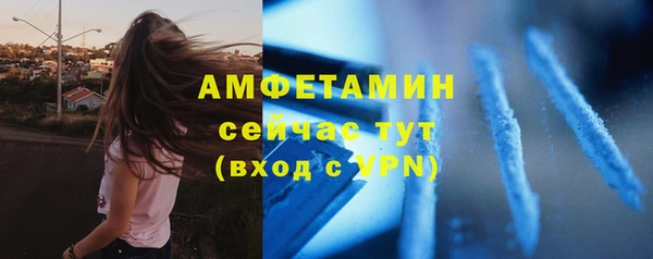 шишки Новодвинск