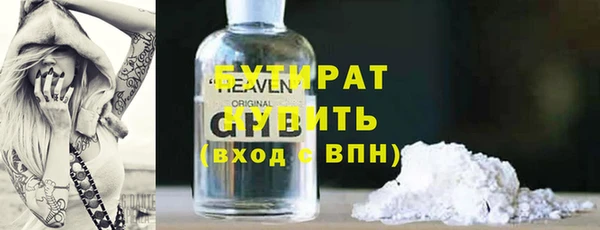 шишки Новодвинск