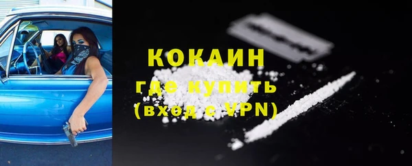 шишки Новодвинск