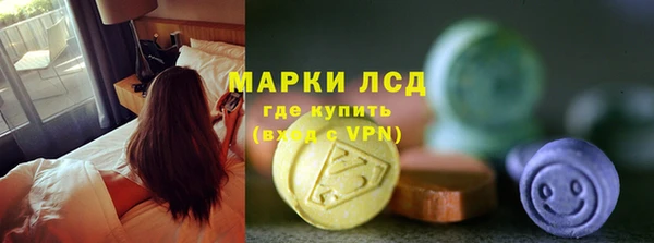шишки Новодвинск