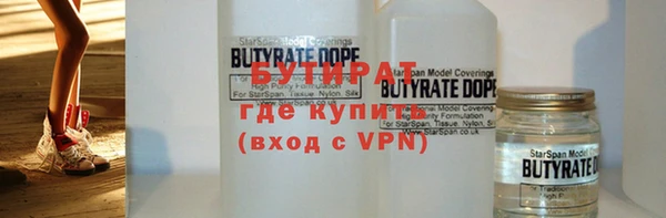 шишки Новодвинск