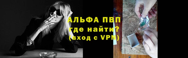 шишки Новодвинск