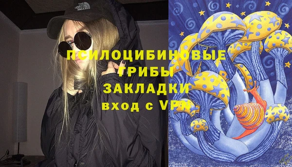 шишки Новодвинск
