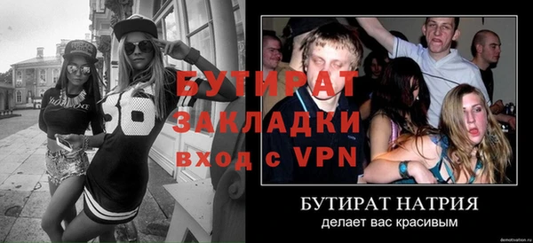 шишки Новодвинск