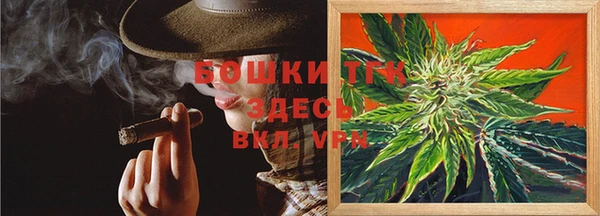 mdpv Новозыбков