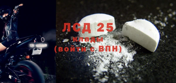шишки Новодвинск